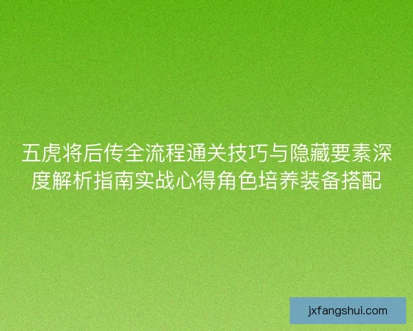 五虎将后传全流程通关技巧与隐藏要素深度解析指南实战心得角色培养装备搭配
